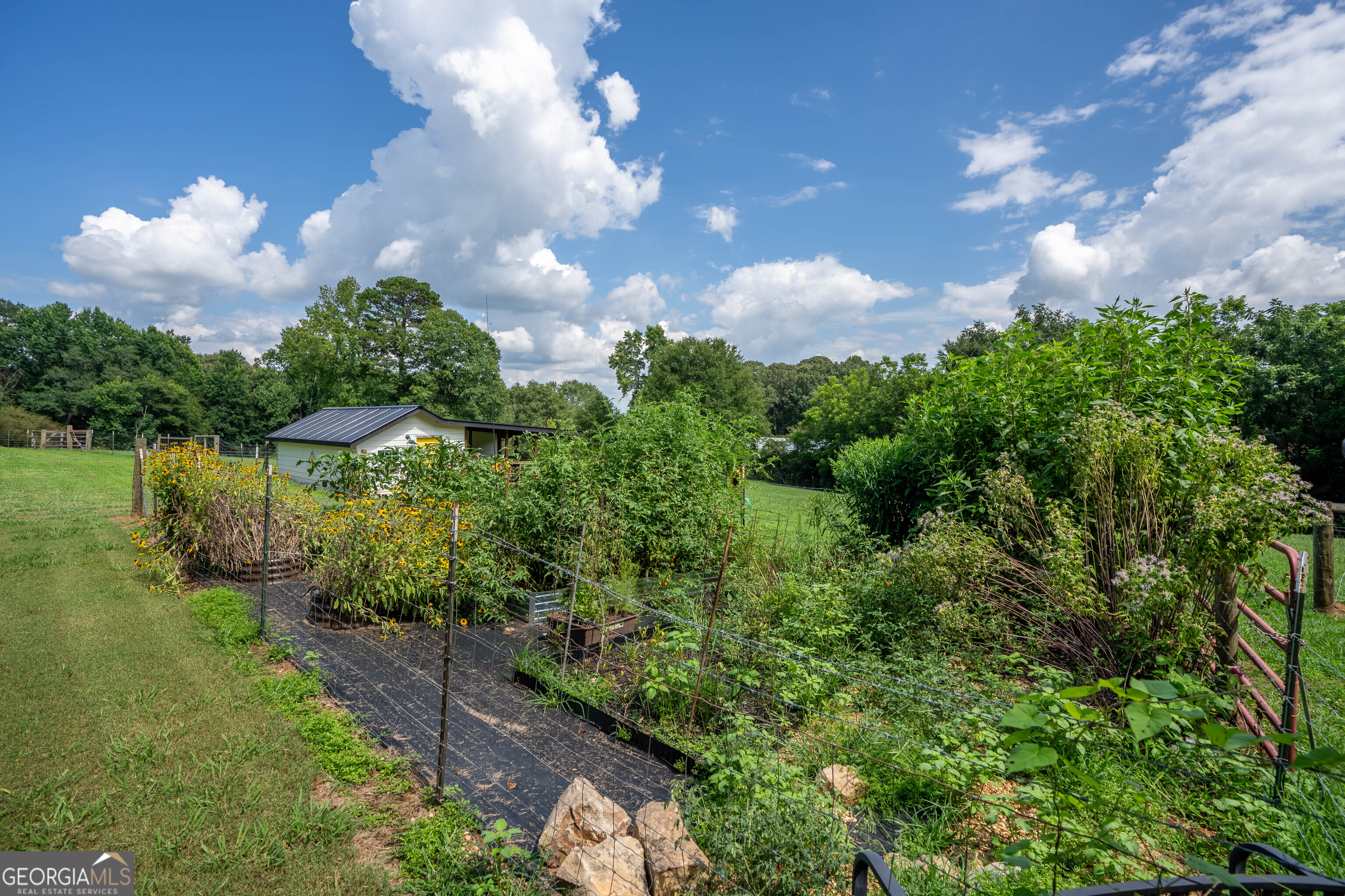 7625 West County Line Road Lula, GA 30554 - Photo 83 of 97 Gallery Image 83