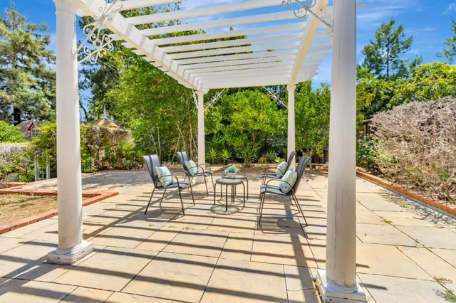 a view of a yard with plants and trees