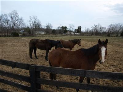 555 Wheat School Road Salvisa, KY 40372 - Photo 42 of 50 Photo 42