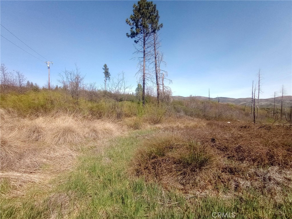 3515 Hoffman Road Oroville, CA 95965 - Photo 24 of 30