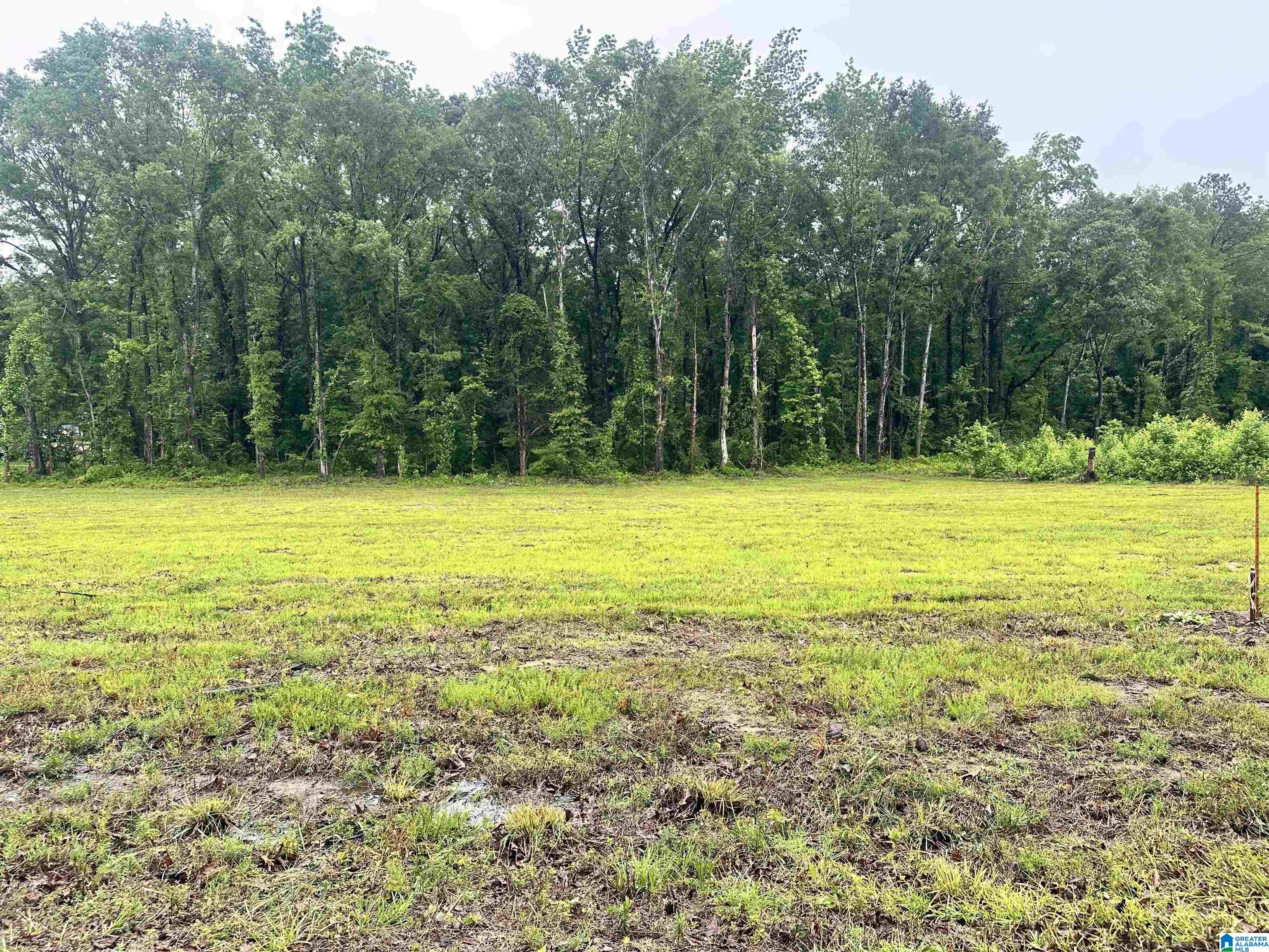 0 Ward School Road, Unit 2 Centreville, AL 35042 - Photo 2 of 4