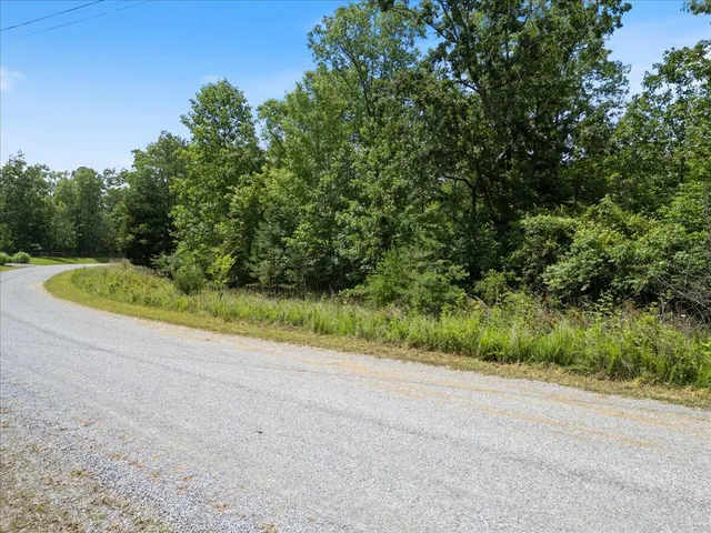a view of a yard with a plant
