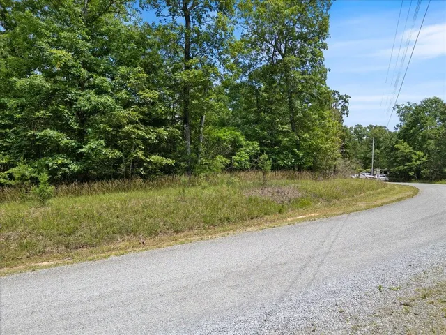 a view of a yard with a tree