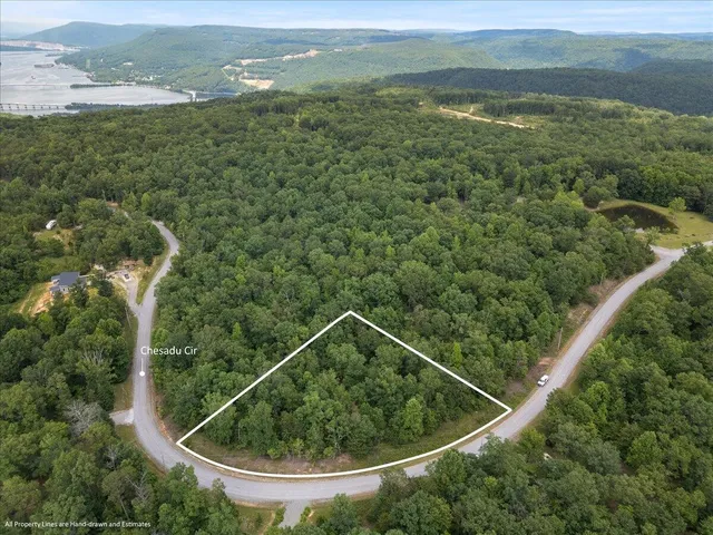 a view of a forest from a balcony