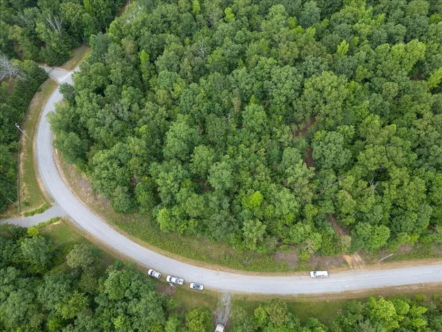 an outdoor view of garden