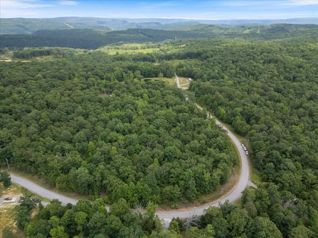 a view of a forest with a street