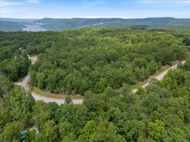 a view of a lush green hillside and a houses