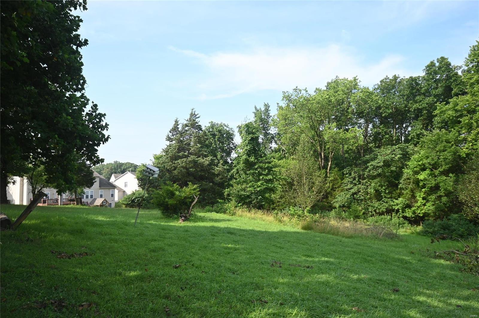 1844 East Branch Road Fenton, MO 63026 - Photo 12 of 13