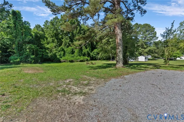 a view of a park with large trees
