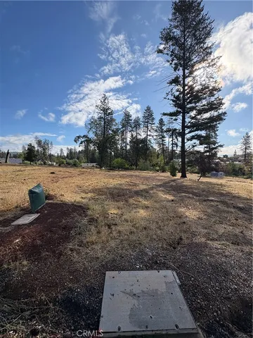 a view of dirt yard with a large tree