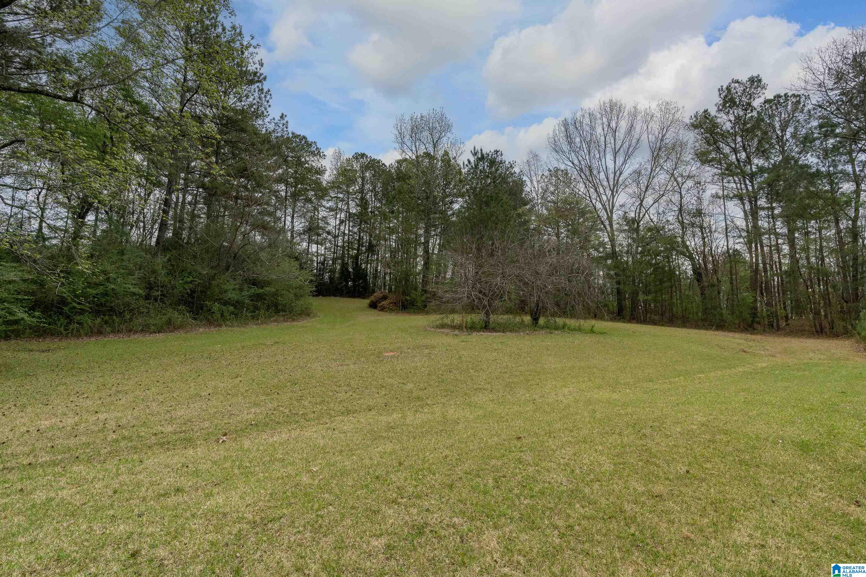 3055 Jackson Road Pinson, AL 35126 - Photo 21 of 38