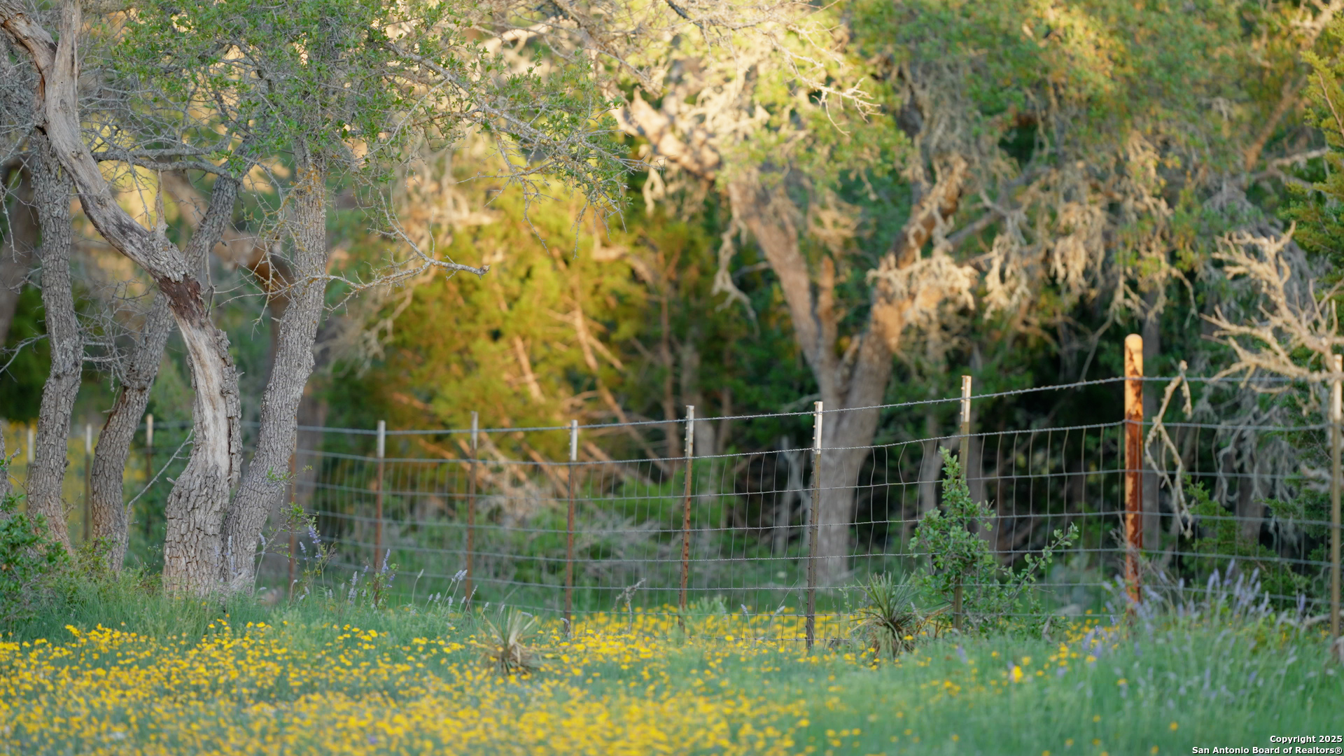 0 Fm 479 Harper, TX 78631 - Photo 22 of 36 a backyard of a house with lots of green space