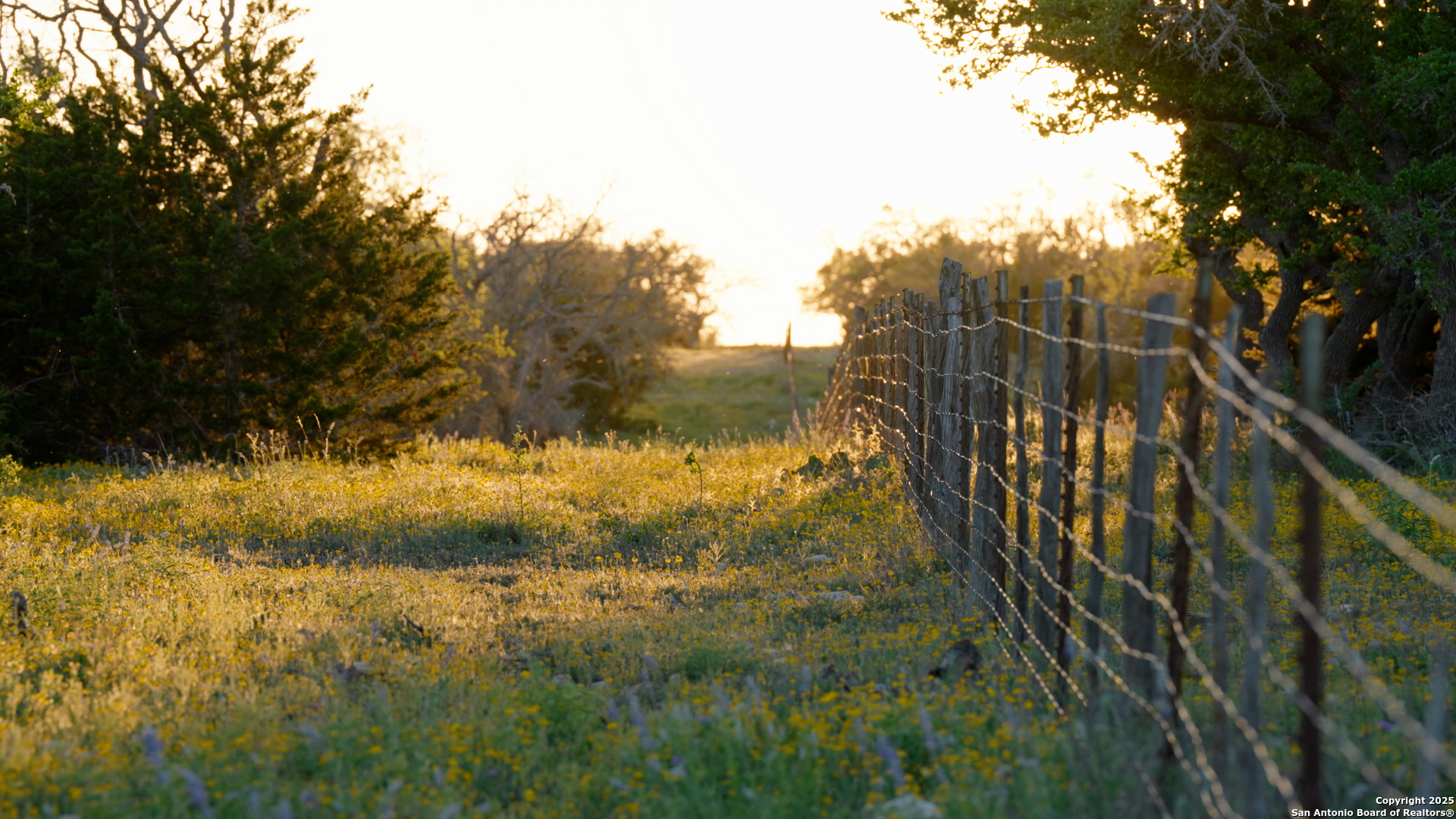 0 Fm 479 Harper, TX 78631 - Photo 24 of 36 a view of a yard with trees