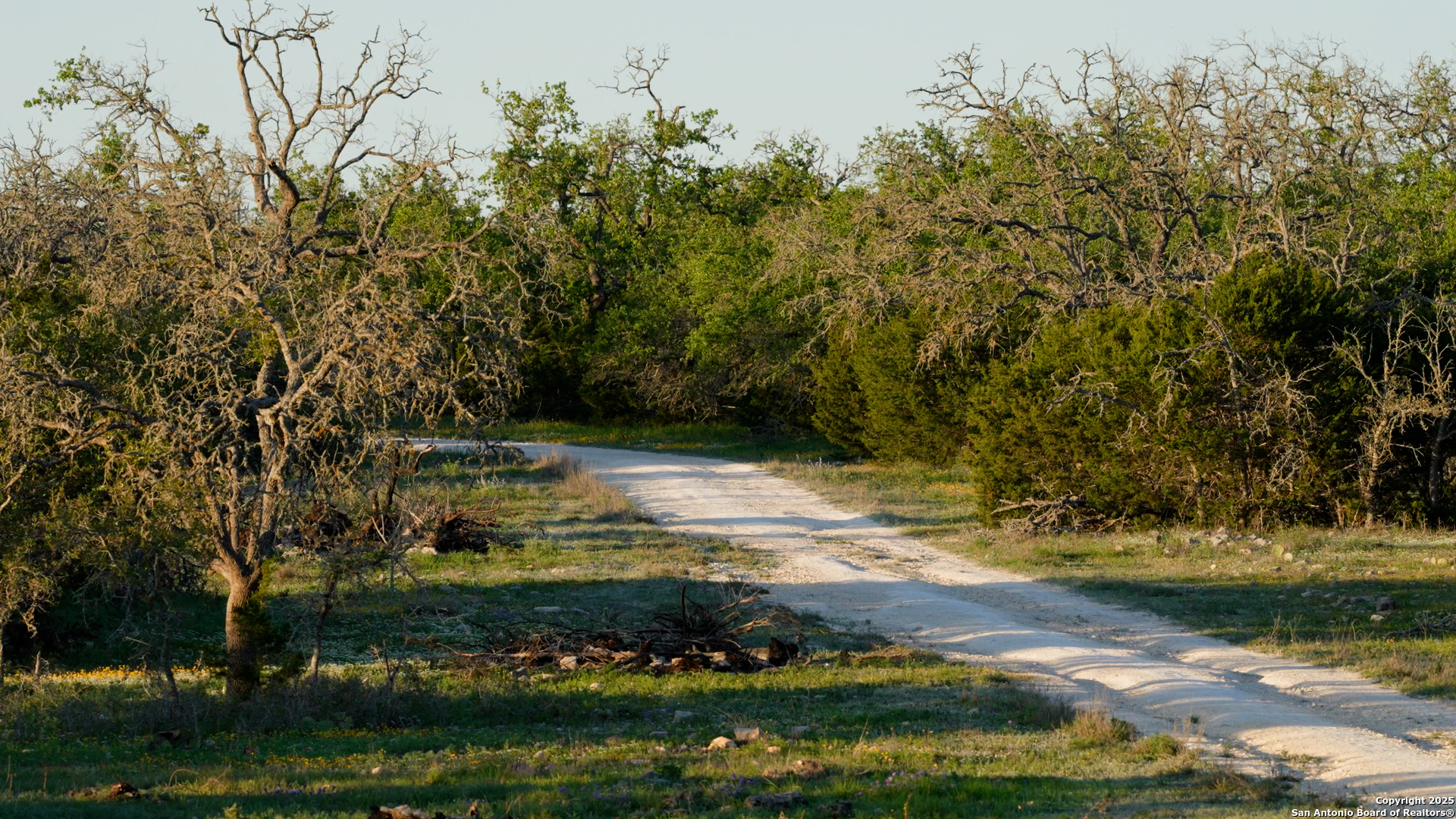 0 Fm 479 Harper, TX 78631 - Photo 28 of 36 a view of a lake with a large tree