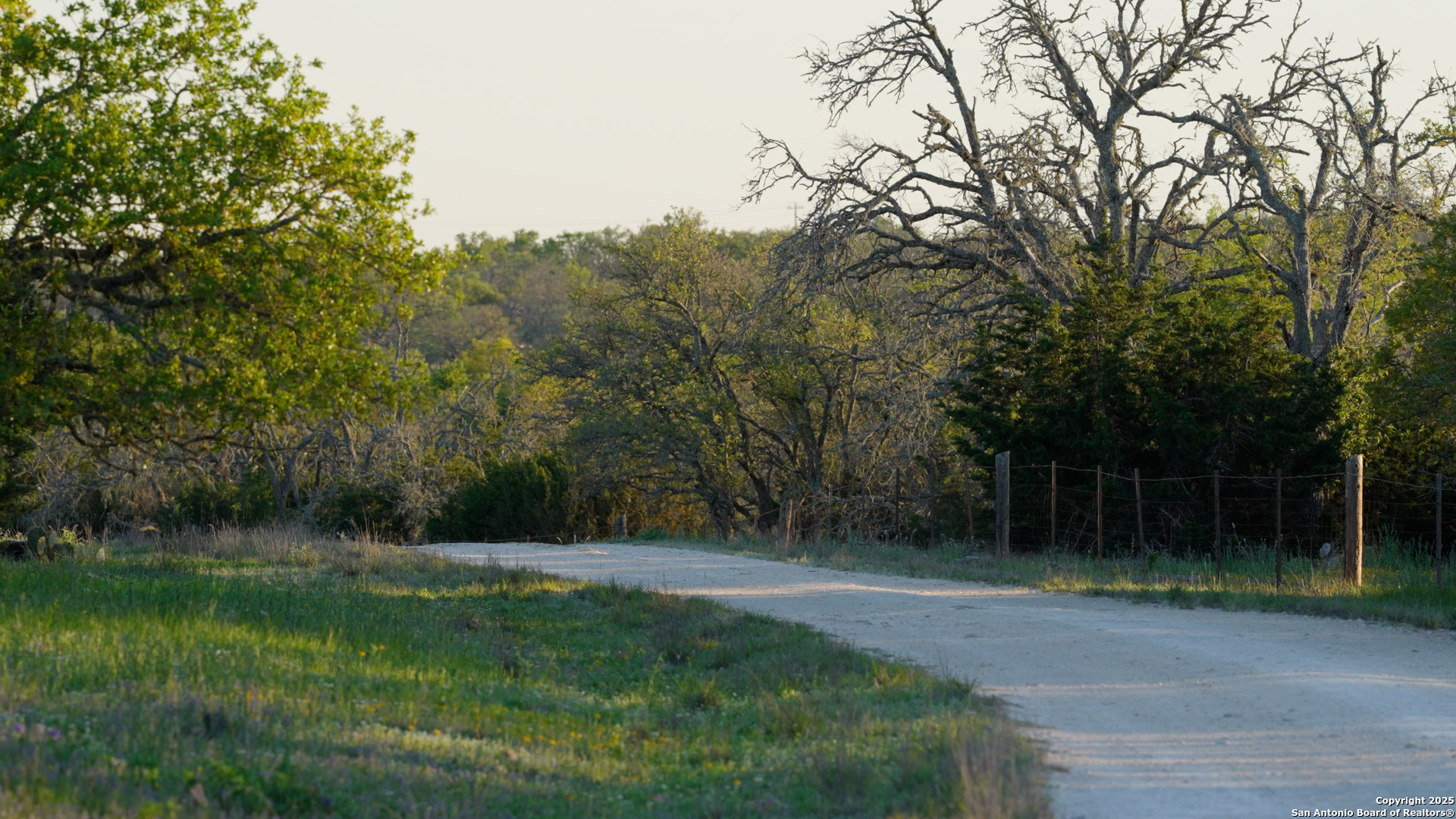 0 Fm 479 Harper, TX 78631 - Photo 29 of 36 a view of a backyard