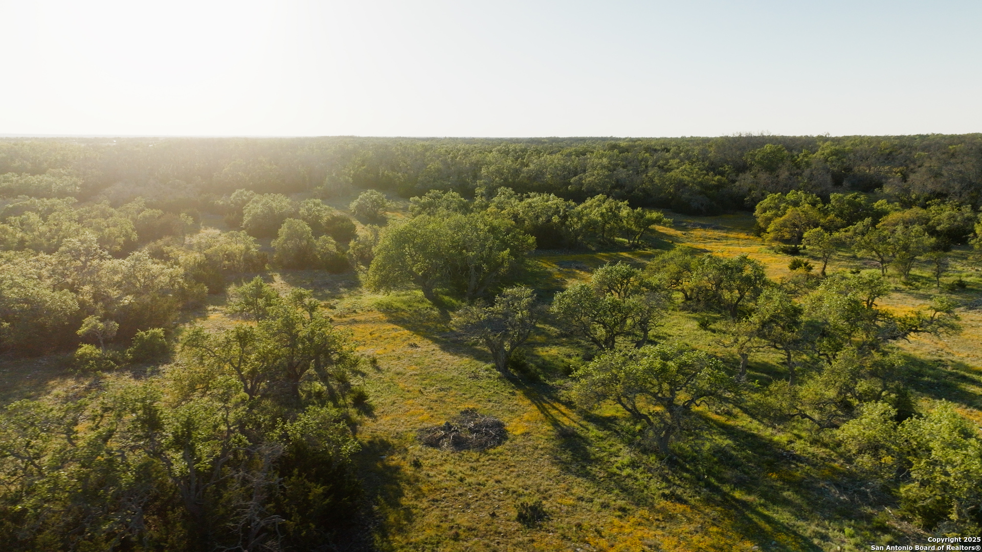 0 Fm 479 Harper, TX 78631 - Photo 8 of 36 a view of a green field