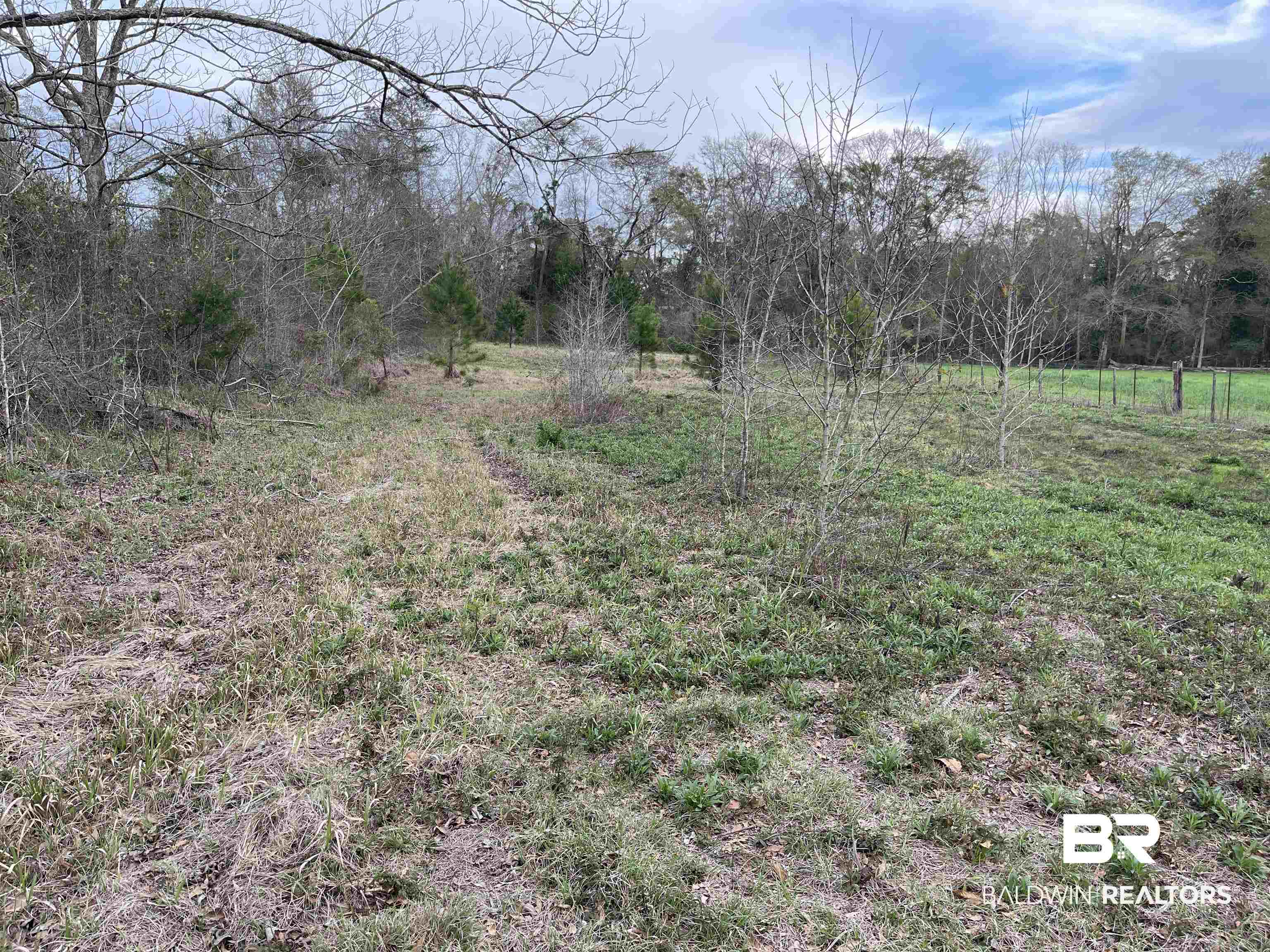 0 Barlow Road Loxley, AL 36551 - Photo 1 of 2