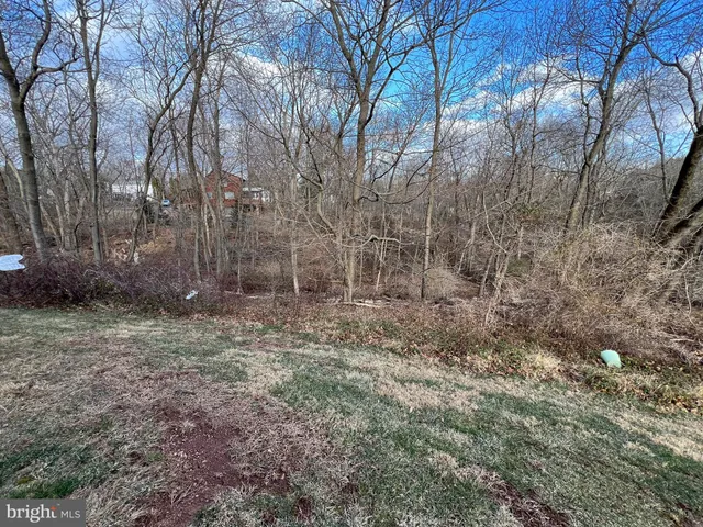 a view of a yard with trees