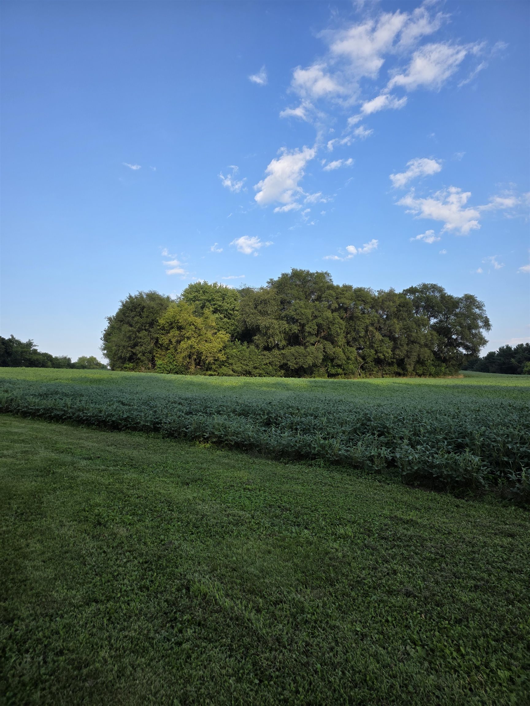 316 Hillside Road Edgerton, WI 53534 - Photo 14 of 34 Gallery Image 14