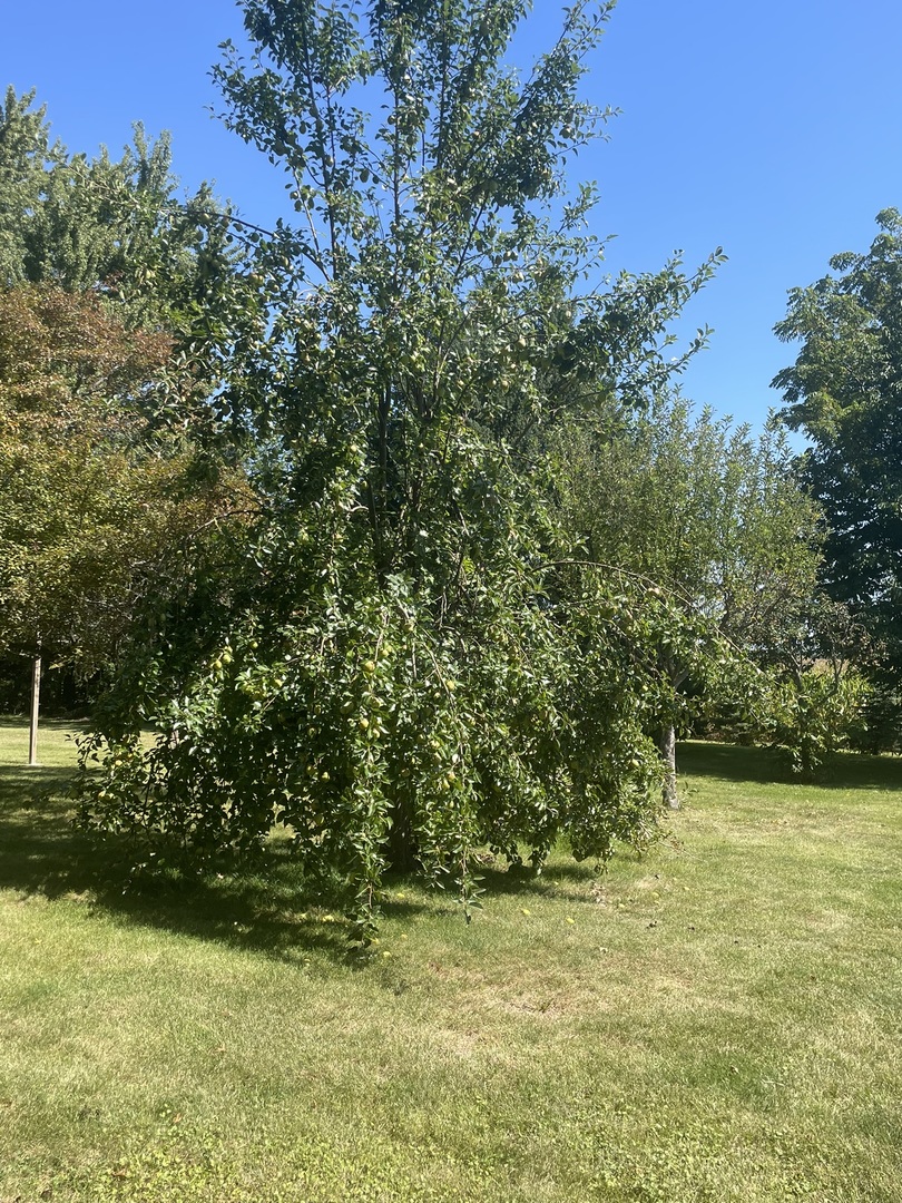 14254 Barber Greene Road Sycamore, IL 60178 - Photo 38 of 39