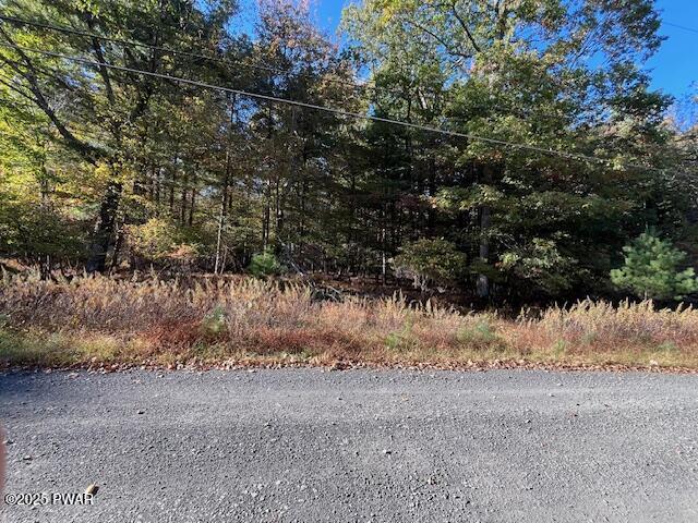 Lot 247 Squirrel Road Dingmans Ferry, PA 18328 - Photo 3 of 10