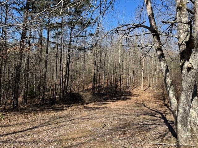 367 Eldie Foster Road Pocahontas, TN 38061 - Photo 12 of 14 View of nature with a wooded view