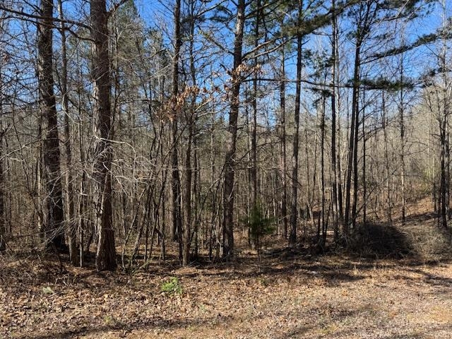 367 Eldie Foster Road Pocahontas, TN 38061 - Photo 13 of 14 View of local wilderness with a wooded view