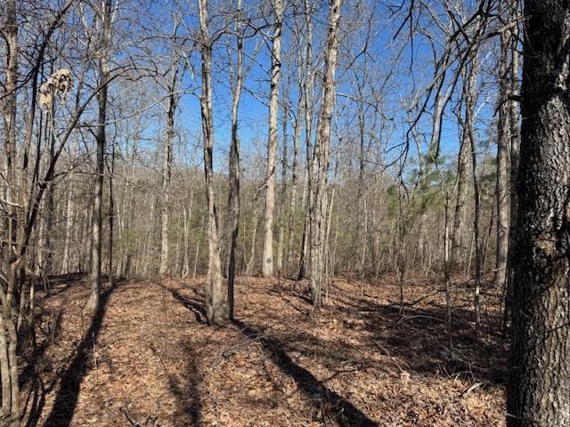 367 Eldie Foster Road Pocahontas, TN 38061 - Photo 14 of 14 View of local wilderness featuring a wooded view