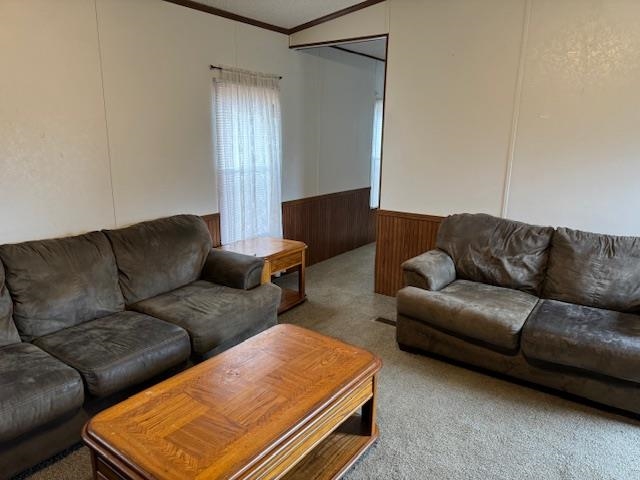 367 Eldie Foster Road Pocahontas, TN 38061 - Photo 7 of 14 Carpeted living room with crown molding, wood walls, and wainscoting