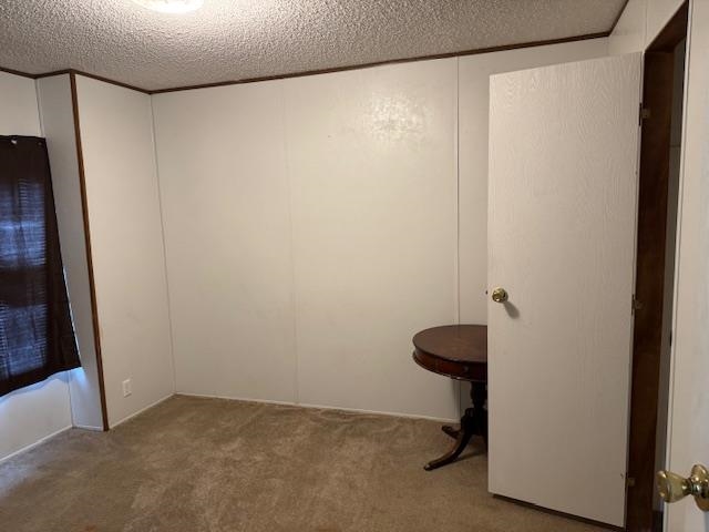 367 Eldie Foster Road Pocahontas, TN 38061 - Photo 8 of 14 Carpeted empty room with a textured ceiling