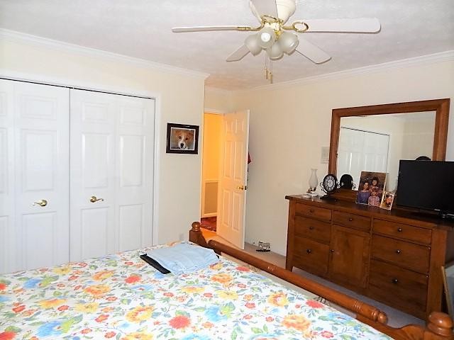 445 Carson Road Crossville, TN 38571 - Photo 28 of 40 Gallery Image 28