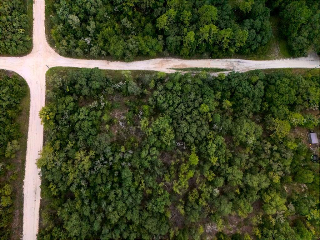 0 Northeast 110th Avenue Bronson, FL 32621 - Photo 3 of 11 a view of outdoor space with a yard