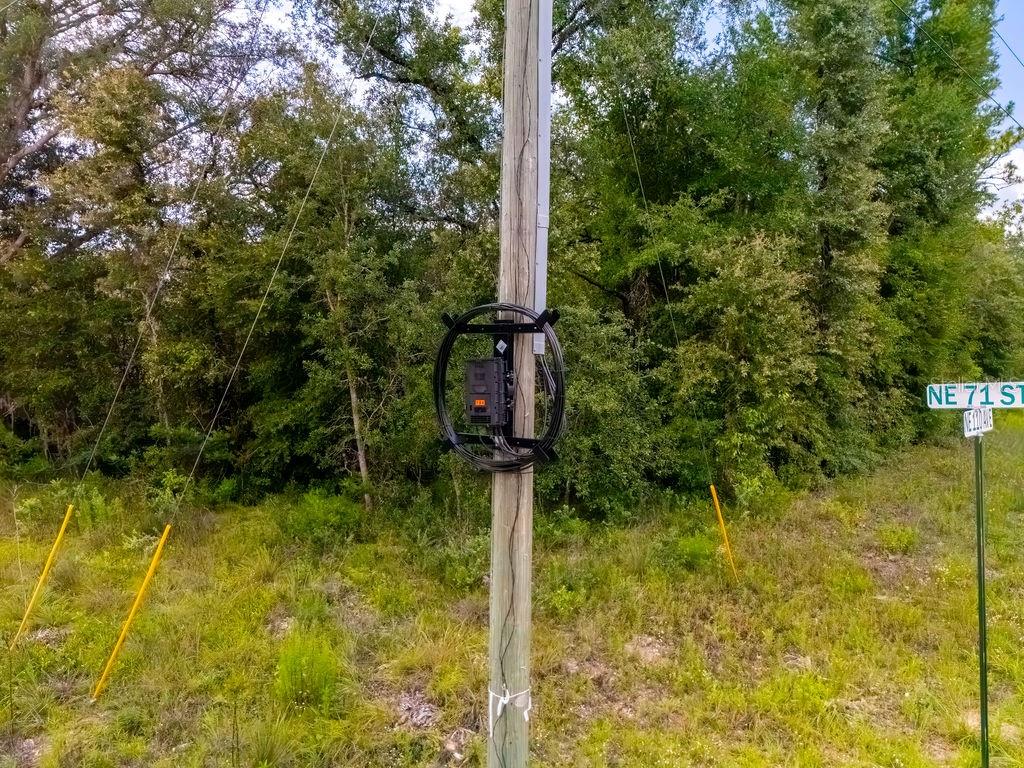0 Northeast 110th Avenue Bronson, FL 32621 - Photo 10 of 11 a street sign that is sitting in front of a tree