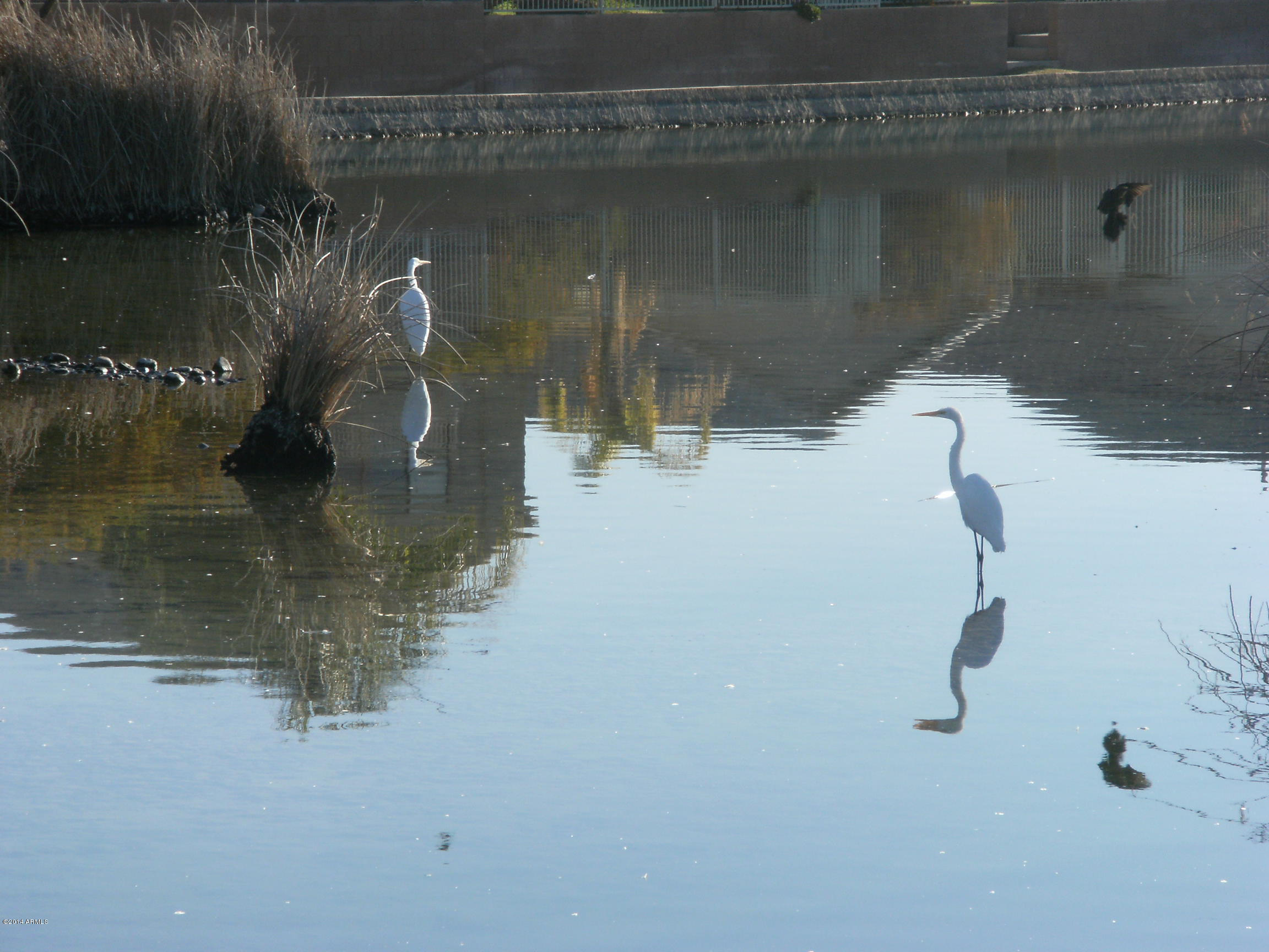 10837 West Alvarado Road Avondale, AZ 85392 - Photo 21 of 22 DSCF4411