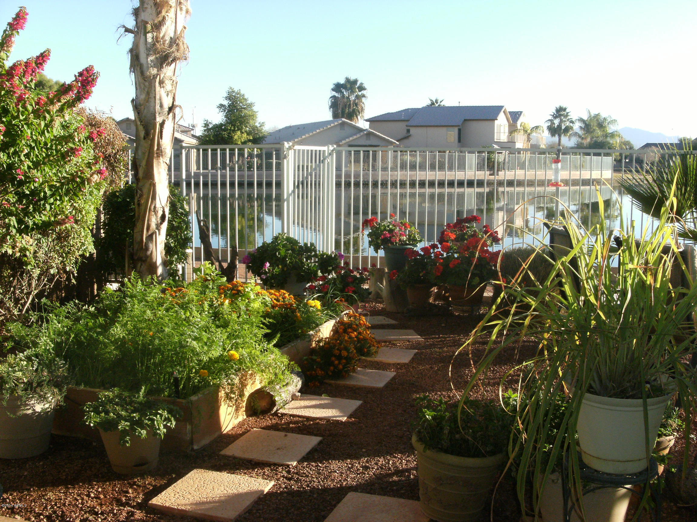 10837 West Alvarado Road Avondale, AZ 85392 - Photo 6 of 22 DSCF4332