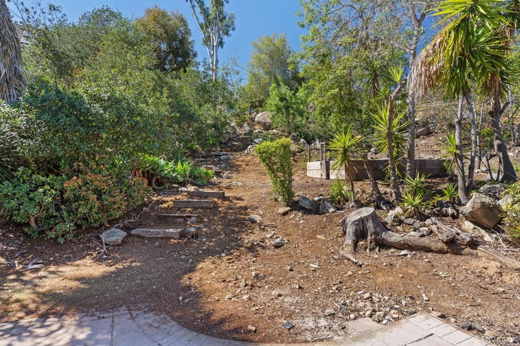 929 Cycad Drive San Marcos, CA 92078 - Photo 44 of 71 a view of a backyard with large trees