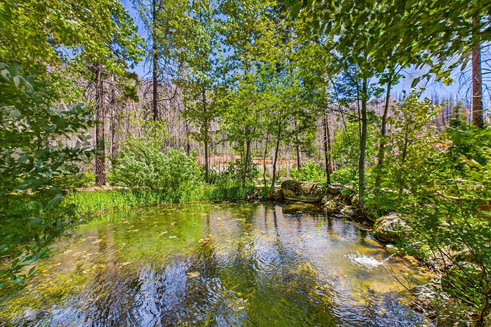 2103 Coffee Creek Road Trinity Center, CA 96091 - Photo 40 of 49