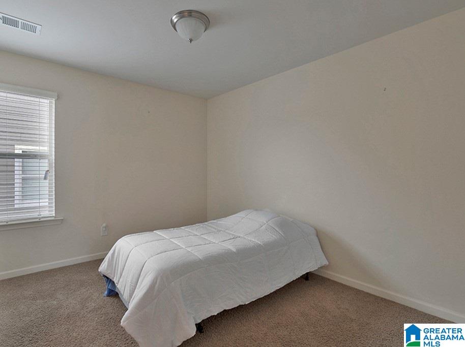 100 Blueberry Cove Springville, AL 35146 - Photo 13 of 19 Gallery Image 13