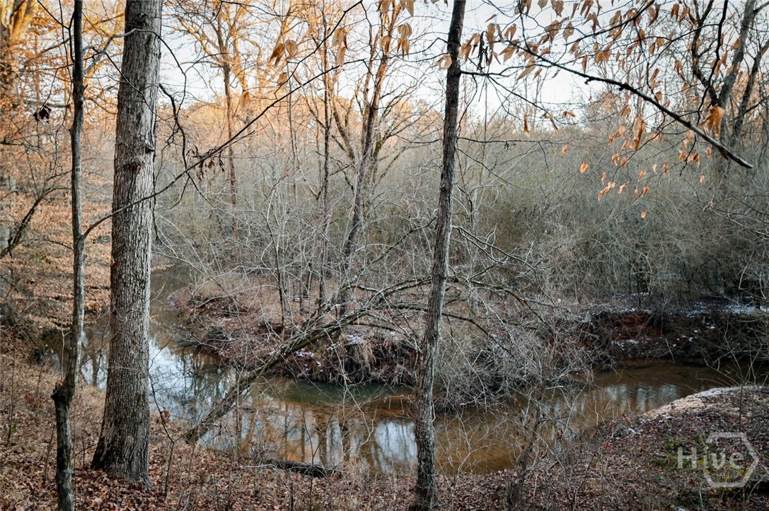 1208 Elberton Road Lexington, GA 30648 - Photo 58 of 67