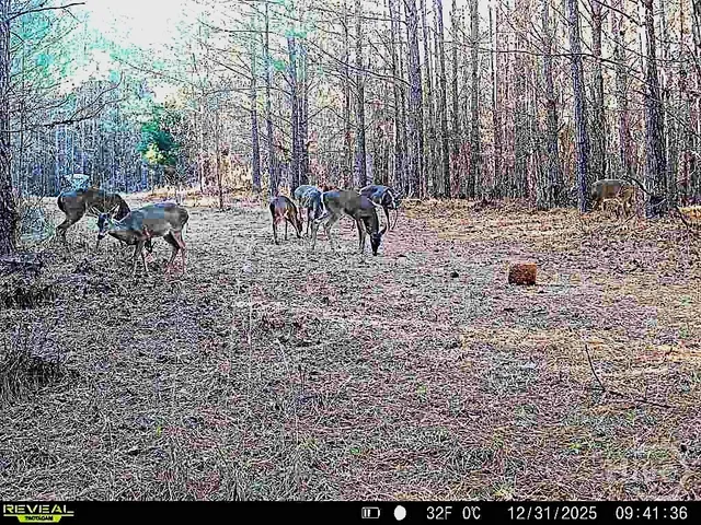 $720,000 | 1208 Elberton Road, Lexington, GA 30648