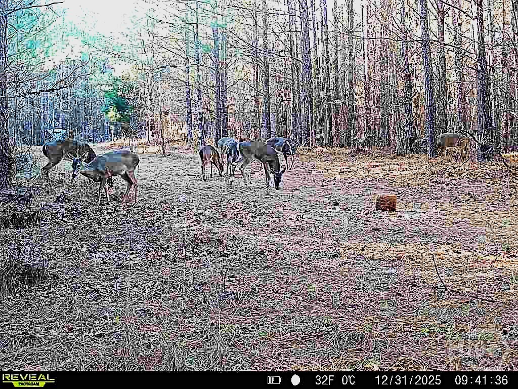 1208 Elberton Road Lexington, GA 30648 - Photo 64 of 67