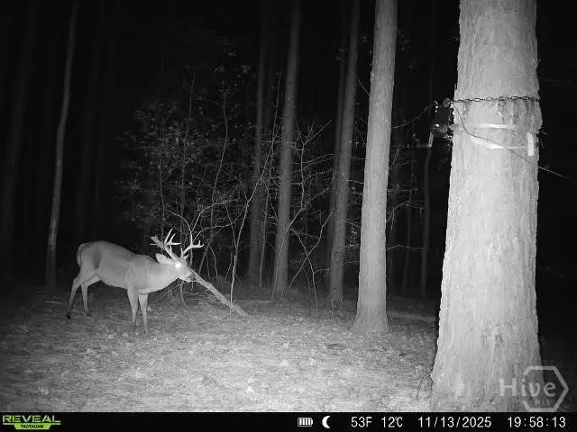 $720,000 | 1208 Elberton Road, Lexington, GA 30648