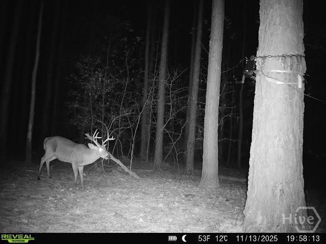 1208 Elberton Road Lexington, GA 30648 - Photo 65 of 67