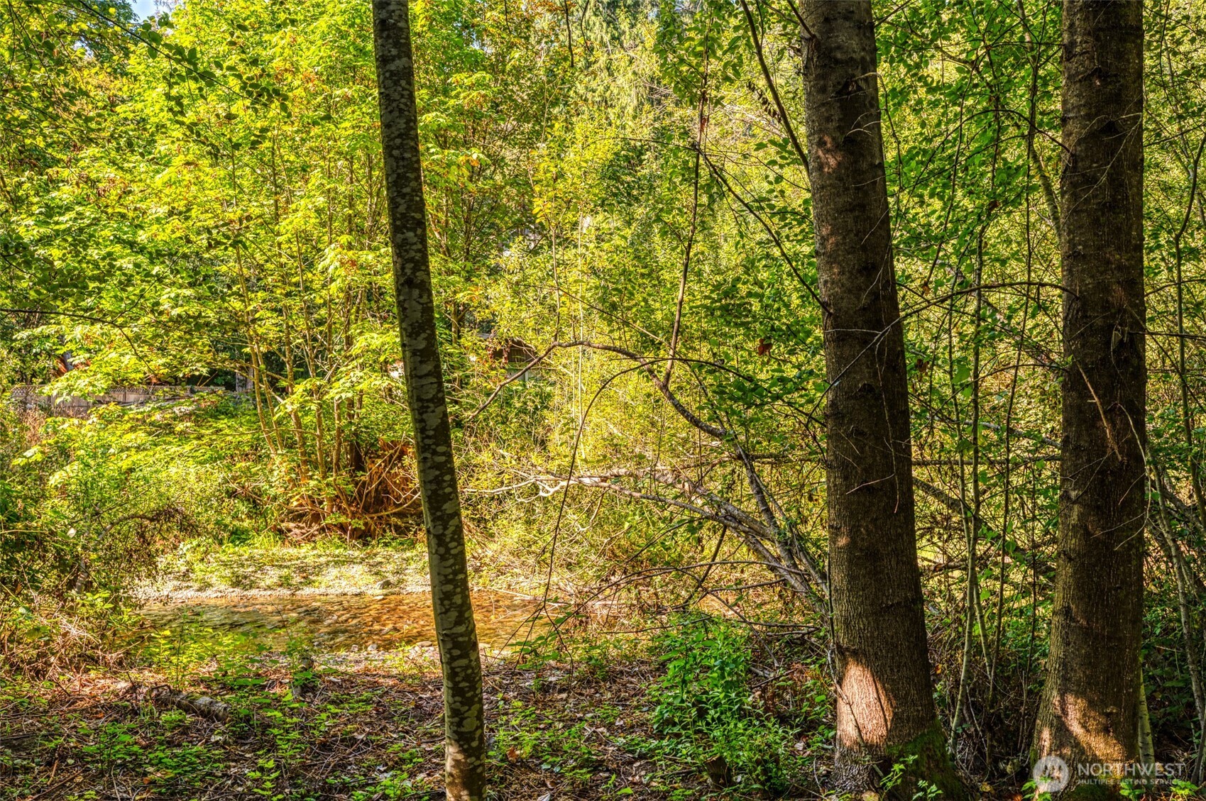 1671 Northeast Mission Creek Road Belfair, WA 98528 - Photo 24 of 31 a view of a tree