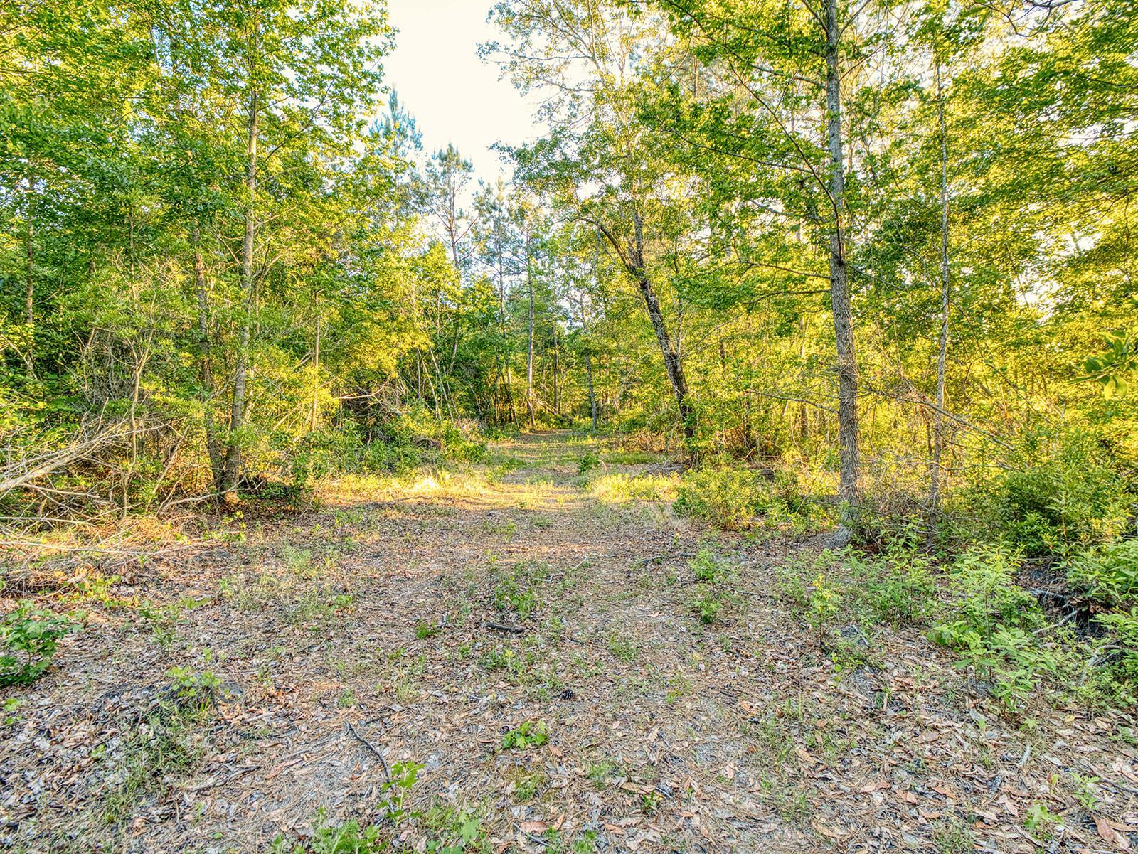Tbd Tbd Chair Road Hemingway, SC 29554 - Photo 18 of 37