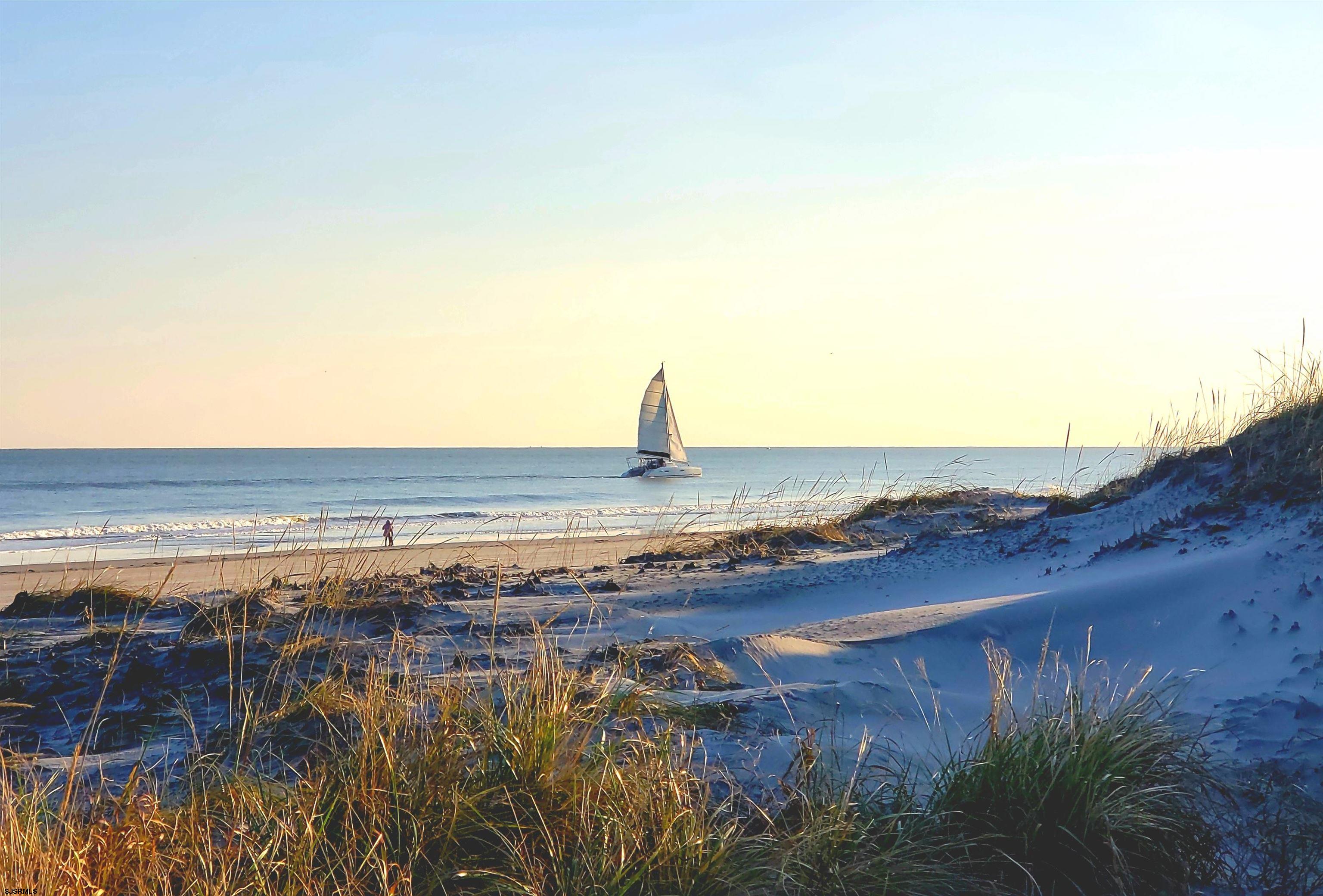 1336 Vardon Road Brigantine, NJ 08203 - Photo 44 of 47 Gallery Image 44