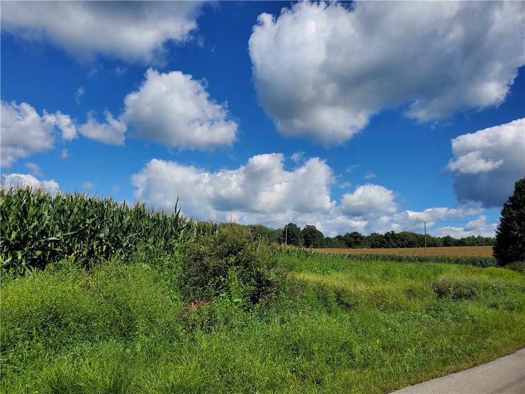 0 Ferguson Road Indiana, PA 15701 - Photo 2 of 7 a view of a big yard with plants and large trees
