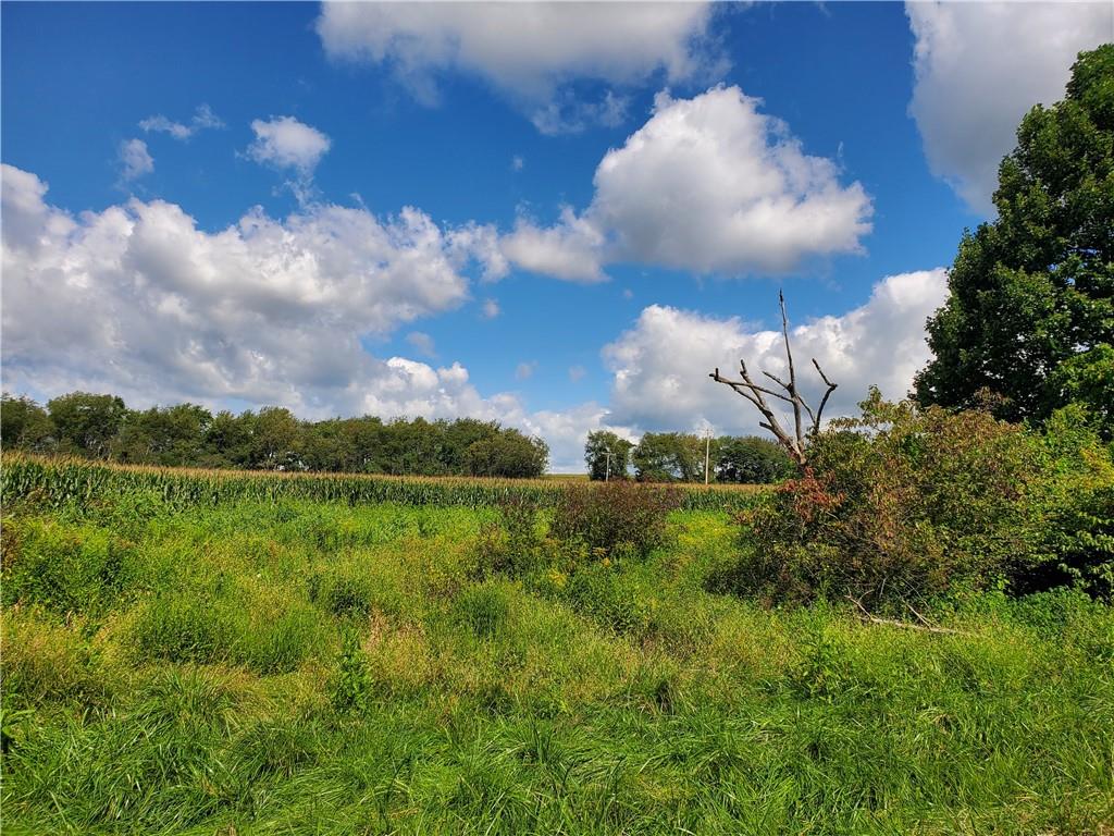 0 Ferguson Road Indiana, PA 15701 - Photo 4 of 7 a view of a lake and green space