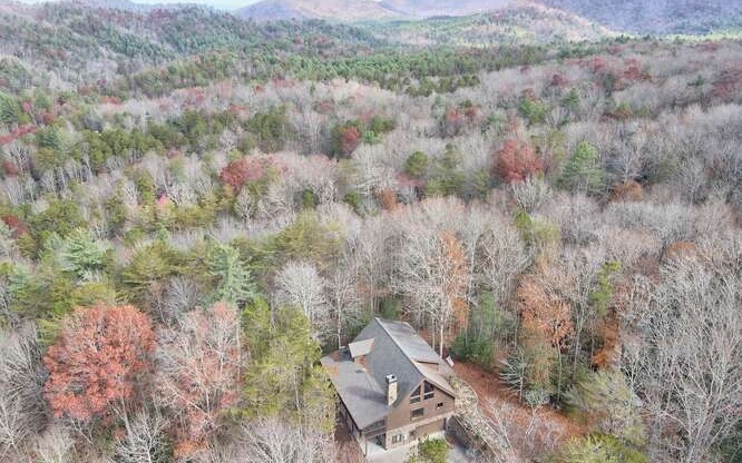 284 Aska Springs Road Blue Ridge, GA 30513 - Photo 53 of 53 Additional View