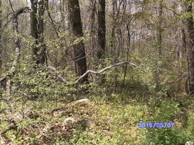 Echo Road Benton Harbor, MI 49022 - Photo 3 of 3 may7,2015 012